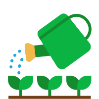 Plant seed without disturbance soil